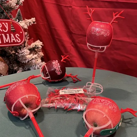 Christmas Apple Bouquet Holder Antler Reindeer Shape Plastic DIY Fruit Gift Packaging Support Base For Holiday Party