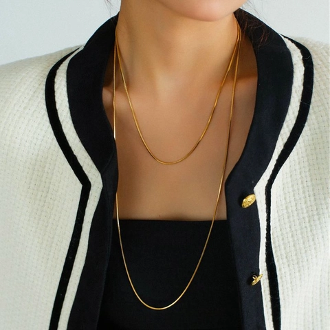 Collana A Catena Di Serpente In Acciaio Inossidabile Lunga Doppio Strato Minimalista Retro Elegante Catena Maglione Per Donna