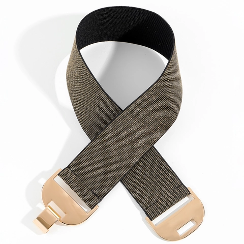 Cinturón de Corsé Tejido Elástico para Mujer Hebilla Geométrica de Aleación Moda Simple Color Sólido Cuero PU Ancho