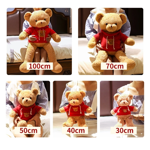 Cute Teddy Bear Plush Toy With Hoodie Embroidered Bear Head Stuffed Animal Soft Hugging Pillow Toy For Kids Birthday Gift