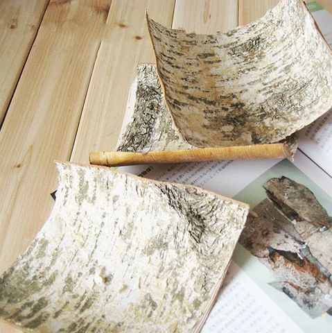 Natürliche Birkenrinde Für Bastelarbeiten Mikro Landschaft Deko Rustikale Fotografie Requisiten Wald Stil Deko Bastelmaterial