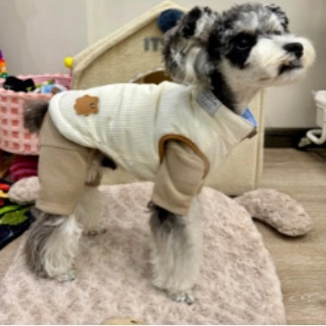 Chaleco Reversible Para Perros Gatos Poliéster Nylon Acolchado Ropa Cálida De Invierno Chaqueta Acolchada Cortavientos