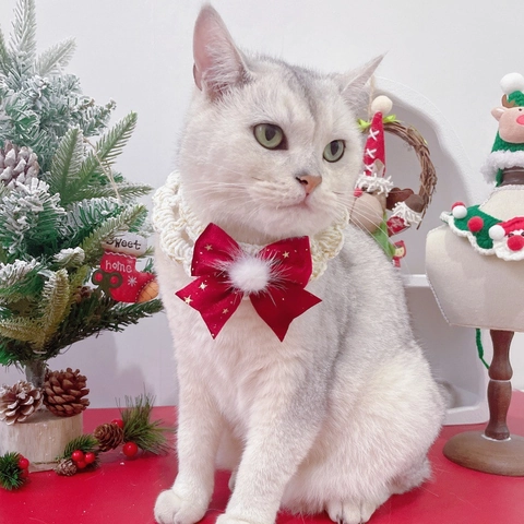 Huisdier Kerst Halsband Gehaakt Katoen Fluwelen Strik Met Sterrenprint Feestelijke Accessoires Voor Katten En Honden