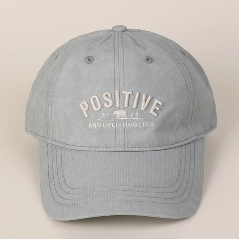 Cappello Da Baseball In Cotone Con Ricamo POSITIVE Orso Polare Stile Campus Retro Regolabile Per Uomo Donna