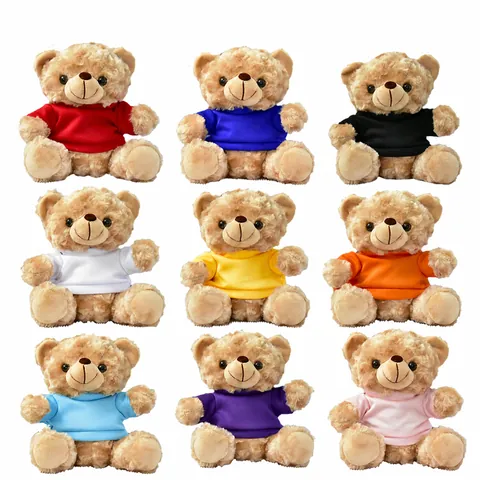 Cute Teddy Bear Plush Toy With Colorful T-Shirt Soft Stuffed Animal Doll For Children Birthday Gift Home Decoration