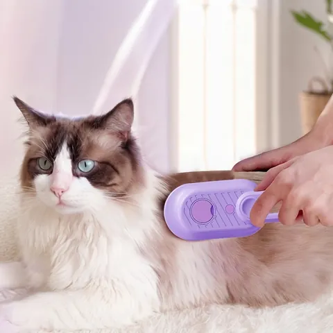 Multifunctional Pet Spray Massage Brush Steam Deshedding Grooming Tool With Silicone Teeth Foldable Handle For Cats Dogs
