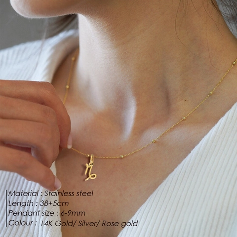 Stainless Steel Zodiac Constellation Pendant Necklace Twelve Signs Minimalist Gold Silver Plated Jewelry For Women Gift INS Style