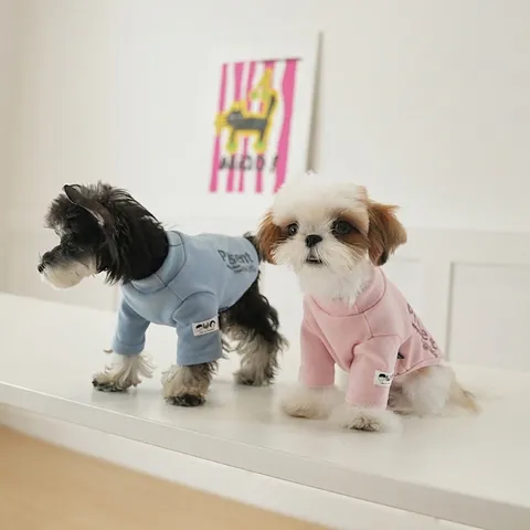 Pet Dog T-Shirt Soft Polyester Base Layer Letter Print Two Legged Casual Puppy Cat Apparel For Autumn Winter