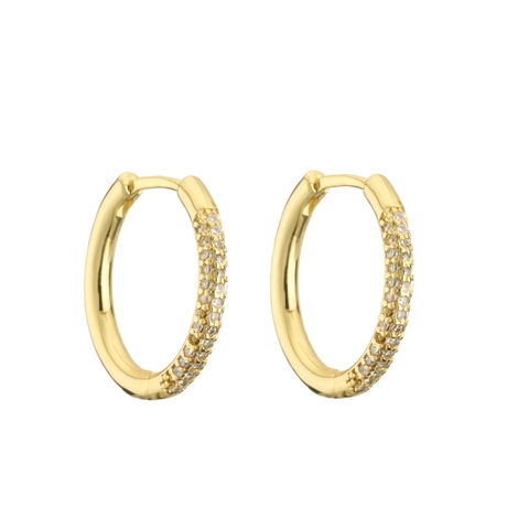 Orecchini A Cerchio Ottone AAA Zirconia Micro Pave Placcato Oro Arcobaleno Tondi Per Donna