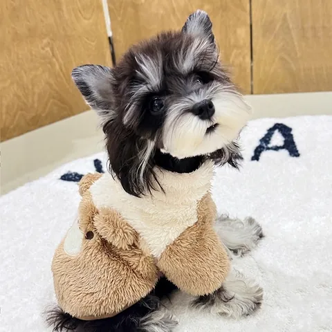 Pet Dog Fleece Vest Warm Winter Jacket With D-Ring Leash Attachment Cute Cartoon 3D Animal Zipper Coat For Small Dogs Cats