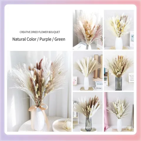 Natural Dried Pampas Grass Bouquet Fluffy Reed Bunny Tail Grass For Home Wedding Party Decor Aesthetic Boho Interior