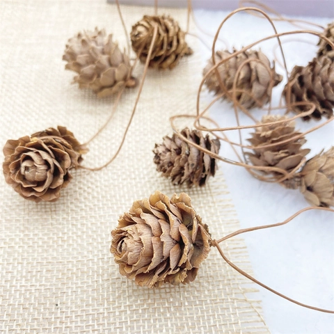 Pommes De Pin Naturelles Décorations Arbre De Noël Bois Plante Séchée Enneigée Fête Maison Décor DIY Accessoires Photographie