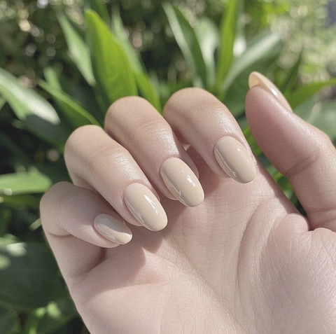 Glossy Solid Color Press On Nails Detachable Artificial False Nail Tips For Women Daily Manicure Elegant Minimalist