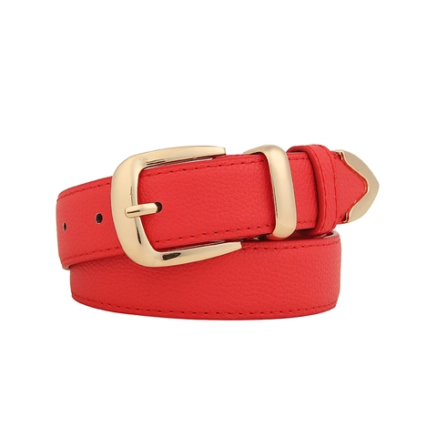 Dames Vintage Eenvoudige Imitatieleer Riem Mode Legering Gespsluiting Lychee Textuur Decoratieve Taille Strap Dunne Tailleband