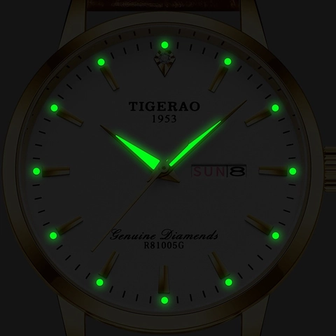 Men Business Watch Gold Case Luminous Day Date Calendar Waterproof Brown Leather Strap Luxury Classic Wristwatch