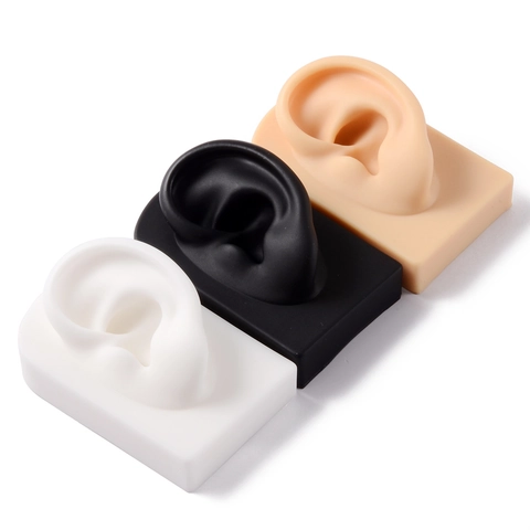 Silicone Ear Model Jewelry Display Piercing Practice Acupuncture Teaching Realistic Soft Medical Grade Acrylic Stand
