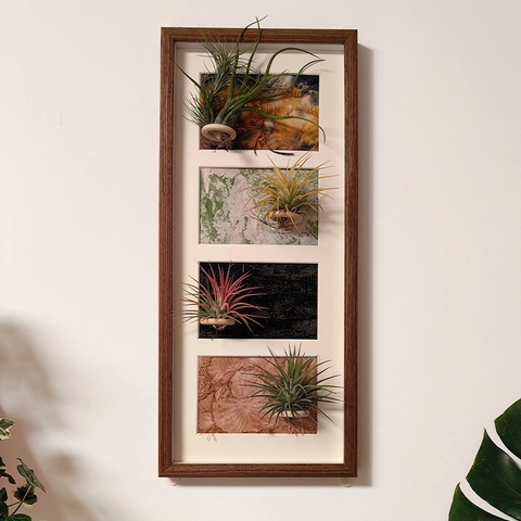 Wood Air Plant Display Holder Frame For Tillandsia Wall Hanging Vertical Desktop Decorative Empty Frame No Plants