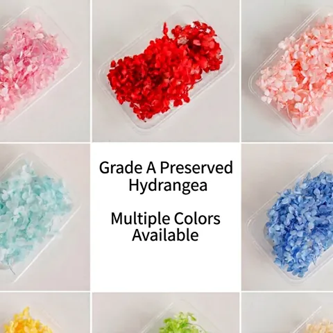 Pétalos De Hortensia Preservados Naturales Flores Secas Colores Variados Para Manualidades Boda Decoración Hogar Scrapbooking
