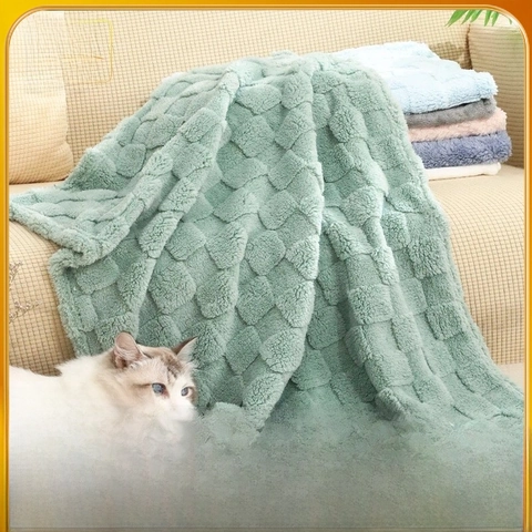 Jardin Pour Animaux/nid Pour Chien/cage/tapis/nid Pour Chien/cage/tapis