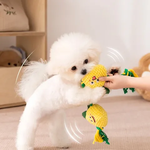 Dog Squeaky Toys Fruit Pineapple Strawberry Vegetable Plush Interactive Rope Tug Teething Chew Toys For Small Medium Dogs