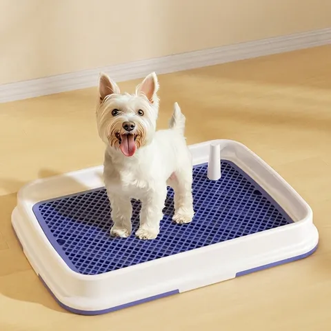 Hundetoilette Für Drinnen Mit Abnehmbarer Säule PP Kunststoff Spritzschutz Training Haustier Töpfchen Halter Welpen