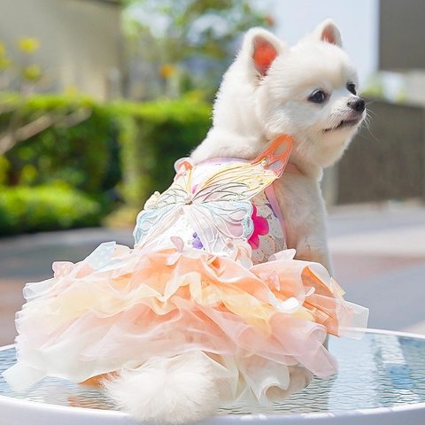 Pet Butterfly Princess Dress Gradient Mesh Lace Puffy Tutu Skirt With Artificial Pearl Embroidery For Small Dogs Cats