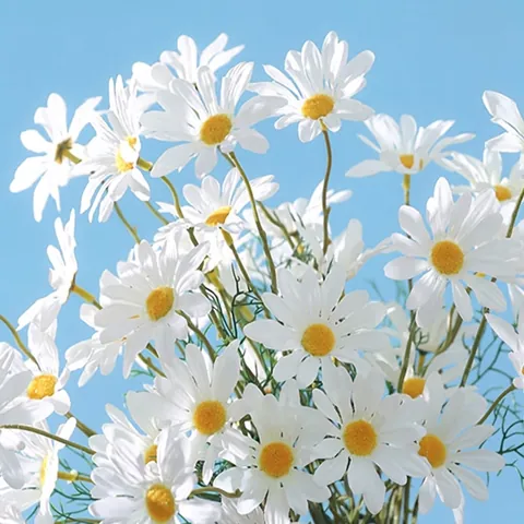 Artificial Chamomile Daisy Flowers Stems Satin Cloth Plastic Lifelike Faux Floral Decor For Home Wedding Photography Props