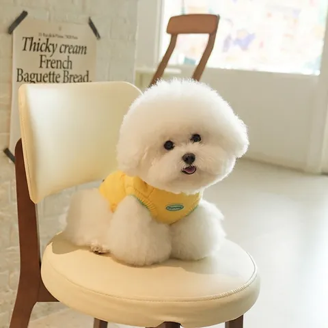 Maglione In Maglia Per Cani Gilet Caldo Senza Maniche Con Toppa Banana 3D E Lettere Ricamate Vestiti Per Cuccioli Cartoon