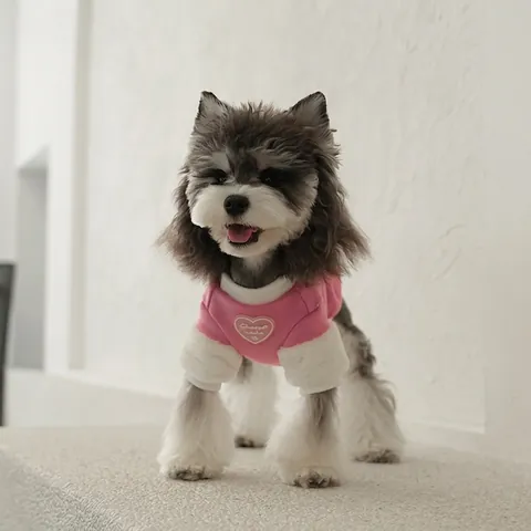 Pet Dog Hoodie Sweatshirt Plush Contrast Color Puff Sleeve Heart Embroidery Warm Winter Apparel For Dogs And Cats