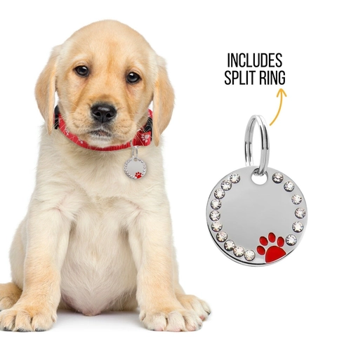 Edelstahl Rundes Haustier ID Tag Funkelndem Strassrand Pfotenabdruck Design Hund Katze Zubehör Anhänger