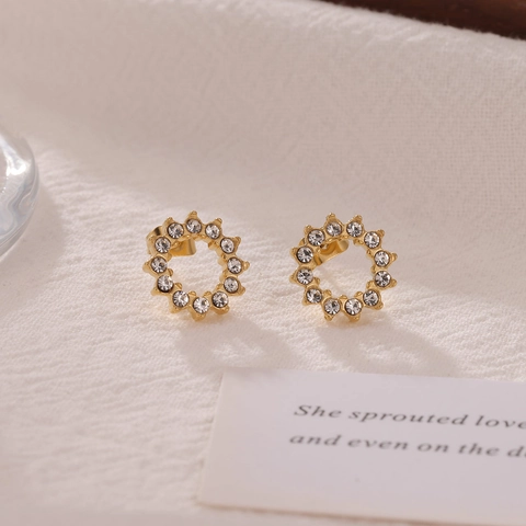 Runde Kreis Ohrstecker Edelstahl Funkelnde Zirkonia Blume Minimalistisch Trendig Luxus Accessoires Damen