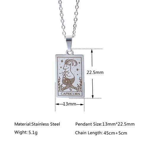 Collana 12 Segni Zodiacali in Acciaio Inossidabile per Donna Collana con Ciondolo Costellazione Minimalista Placcata Oro Argento Gioielli Regalo