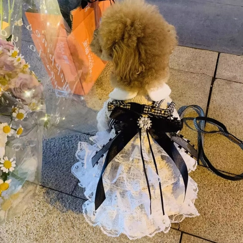 Elegante Abito Per Animali Pizzo Tweed Costume Cucciolo Gatto Stile Di Lusso Con Fiocco Nero E Spilla Di Künstliche Perle Abbigliamento