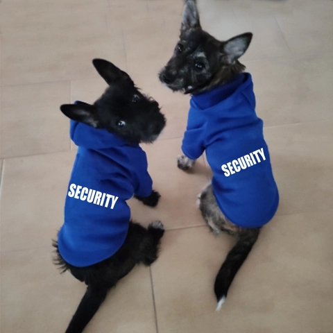 Pet Dog Hoodie Sweatshirt Security Print Polyester Warm Fleece Autumn Winter Apparel For Dogs And Cats Clothing