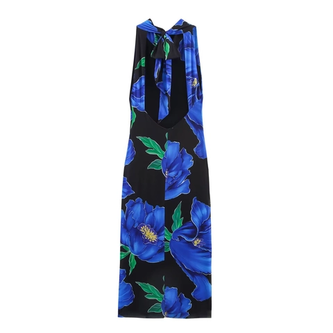Bloemenprint Maxi Jurk Polyester Mesh Mouwloos Halter Rugloos Zomervakantie Elegant Voor Dames