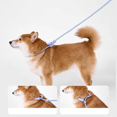 Slip Lead Dog Leash Anti-Burst Braided Nylon P-Rope Training With NBR Foam Handle Adjustable Sturdy Traction For Dogs