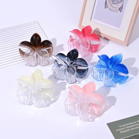 Pince À Cheveux Fleur De Frangipanier Transparent Dégradé Résine Plastique Accessoire Cheveux Femme Sweet Shark Clip