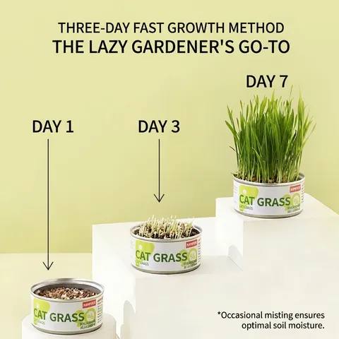 Canned Cat Grass Growing Kit Organic Wheat Seeds Soilless Vermiculite Planting For Hairball Relief Digestive Support