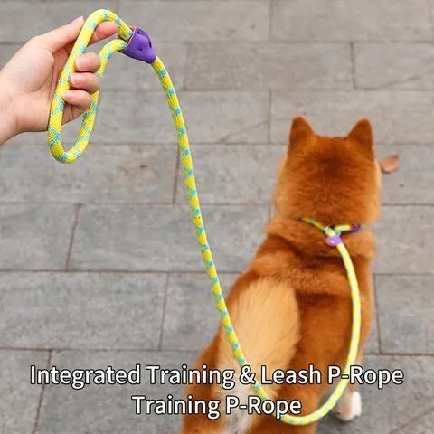 Nylon Braided Dog Training P Leash Slip Lead Adjustable Pet Walking Rope With Secure Limit Stopper Anti Choke