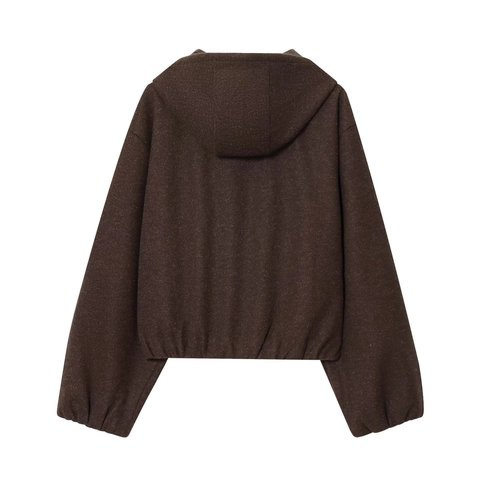 Women Hooded Zipper Jacket Thick Woolen Fabric Casual Streetwear Solid Brown Loose Fit Outerwear