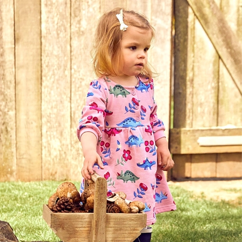 Girls Long Sleeve Cotton Dress Pink Dinosaur Floral Print Round Neck Princess Skirt For Kids Spring Autumn Casual Outfits