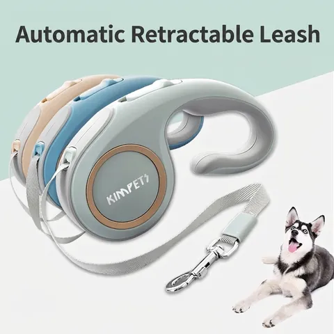 Dog Leashes & Collars