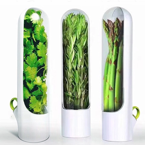 Contenitore Per Erbe Fresche Scatola Per La Conservazione Delle Verdure Plastica Trasparente Per Asparagi Cucina
