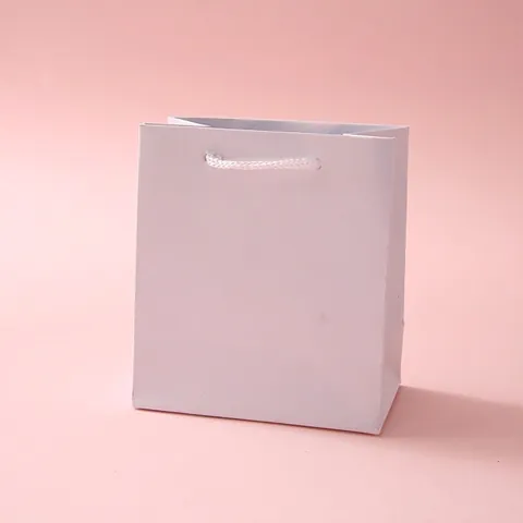 Jewelry Gift Paper Bag Portable Cardboard Tote With Braided Rope Handle Solid Color Packaging For Wedding Party