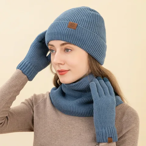 Bonnet D'Hiver Cache-Col Gants Écran Tactile Tricot Acrylique Doublé Polaire Thermique Extérieur Temps Froid Unisexe