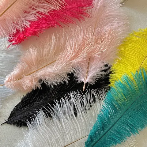 Plumes D'Autruche Naturelles Pour Décoration De Bouquet DIY Mariage Fête Artisanat Décoration Maison Douce Colorée Élégante