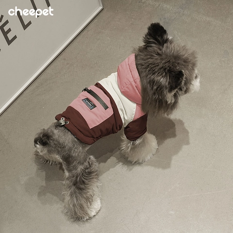 Honden Winterjas Met Capuchon Color Block Taslan Winddichte Thermische Puppy Jas Met Lijn D-Ring Zak Voor Kleine Honden