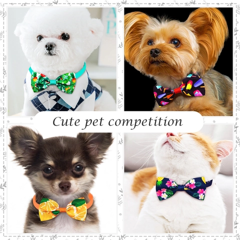 Haustier Fliegen Sommer Tropische Frucht Druck Verstellbar Elastisch Polyester Ripsband Für Hunde Katzen