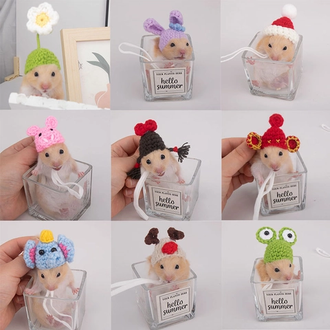 Mini Pet Hat Hand Knitted Crochet Cartoon Animal Shape Headwear For Hamster Parrot Guinea Pig Small Animals Photo Props