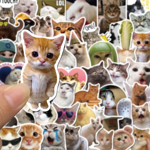 Adesivi Meme Gatto Divertenti Decalcomanie PVC Impermeabili Per Laptop Custodia Telefono Bottiglia D'acqua Decorazione Fai Da Te Umorismo